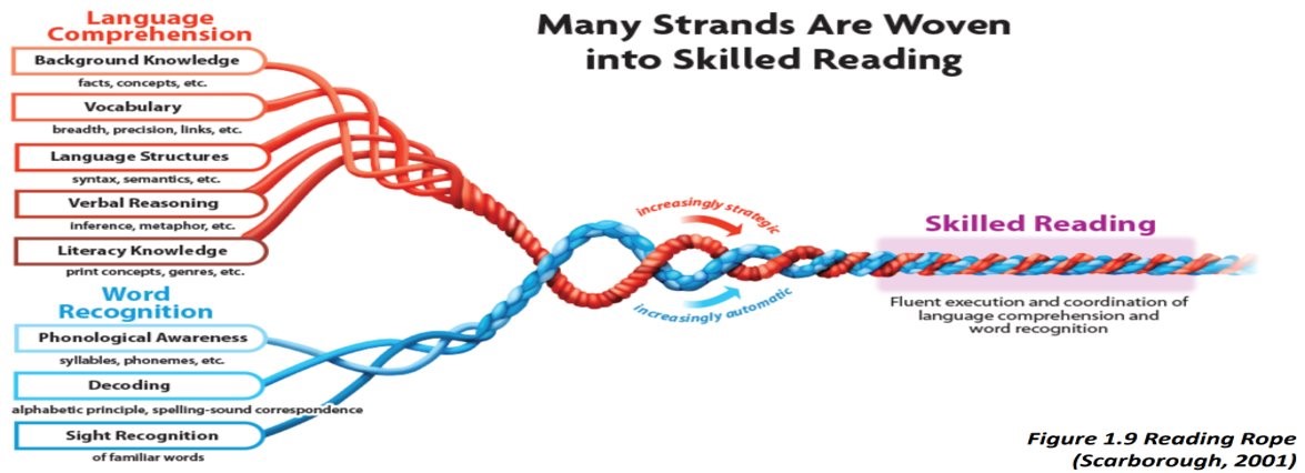 Skilled Reading Skilled Reading