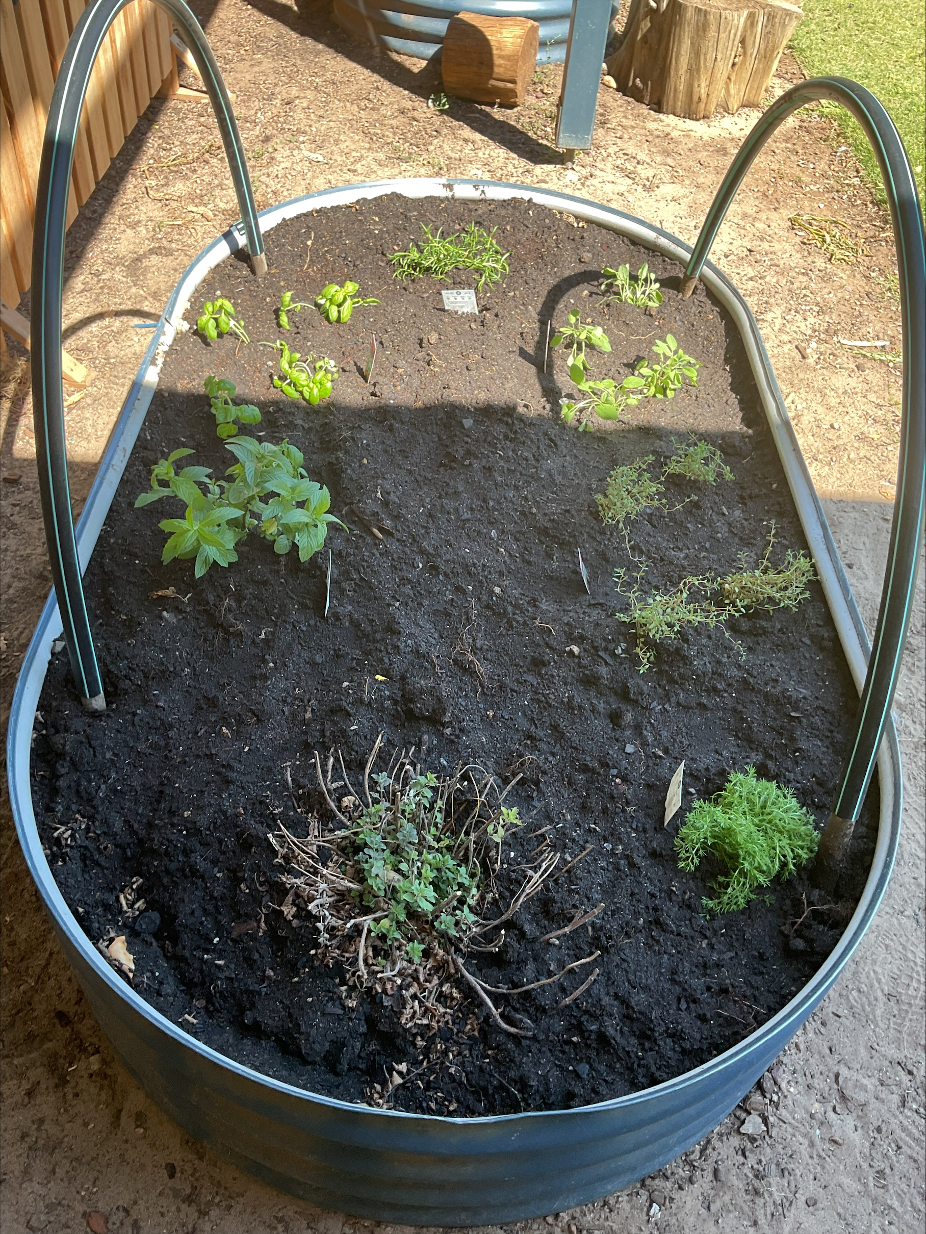 processed-282C34C1-A4ED-453B-94EC-17C3B9D6C187